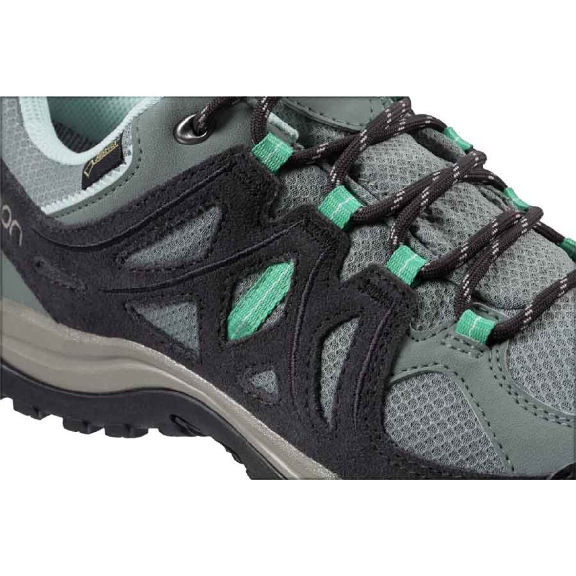 Betsy Trotwood statisk Tulipaner SKO - Salomon - Vandresko Ellipse 2 GTX W