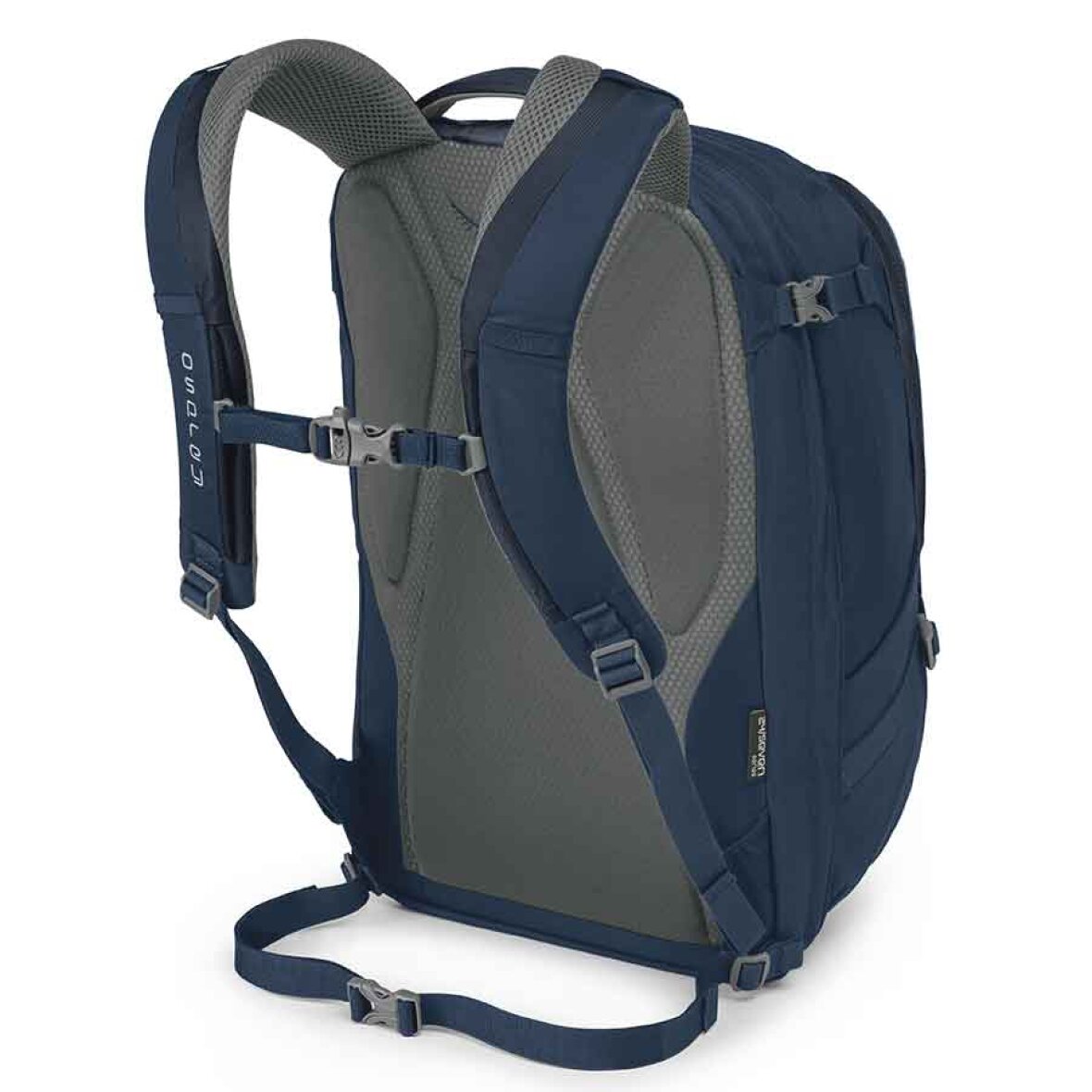 Osprey nebula 34 blue sale