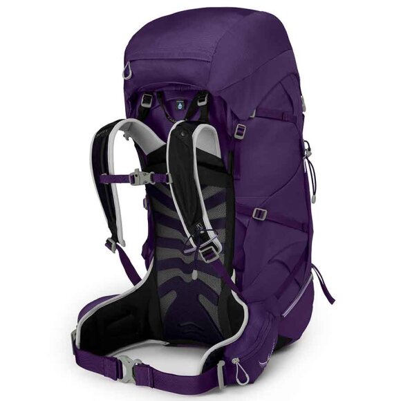 Osprey - Tempest 50 Violac Purple W