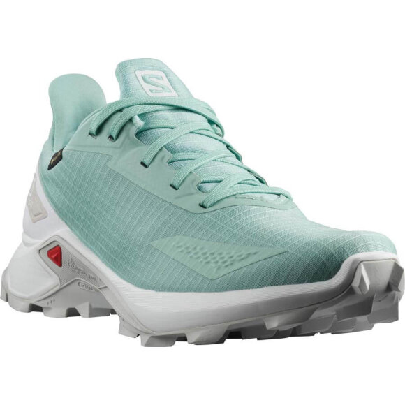 Salomon - Alphacross Blast GTX W