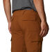 Columbia Sportswear - Silver Ridge II Cargo Shorts Brun