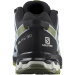 Salomon - XA Pro 3D GTX W Black/Green