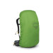 Osprey - Sirrus 36 Succulent green