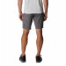 Columbia Sportswear - Mens  Titan Pass Shorts