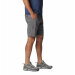 Columbia Sportswear - Silver Ridge Utility Shorts