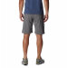 Columbia Sportswear - Silver Ridge Utility Shorts