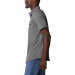 Columbia Sportswear - Newton Ridge II Short Sleeve