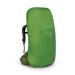 Osprey - Aether 55 Garlic Mustard Green