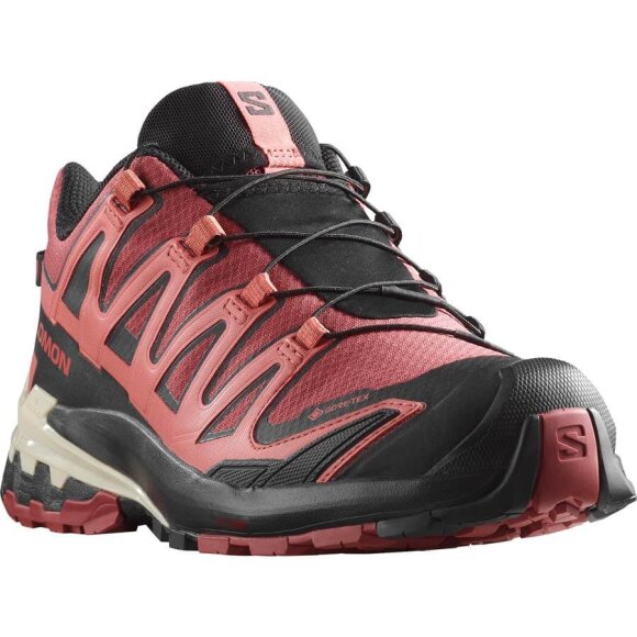 Salomon - XA Pro 3D V9 GTX W Cow hide