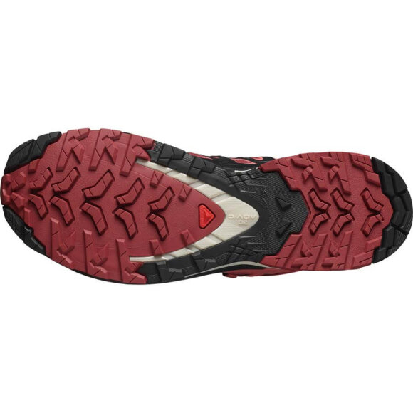 Salomon - XA Pro 3D V9 GTX W Cow hide