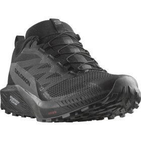 Salomon - Sense Ride 5 GTX Black