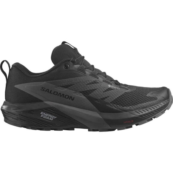 Salomon - Sense Ride 5 GTX W Black