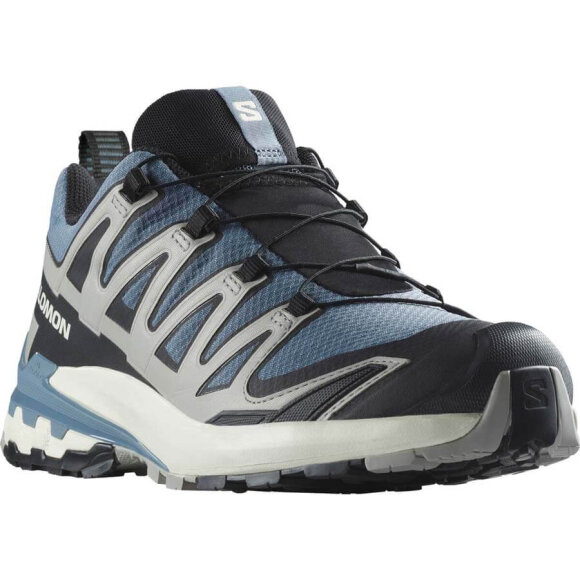 Salomon - XA Pro 3D V9 GTX Flint Stone