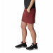 Columbia Sportswear - Saturday Trail Skort Spice