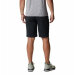 Columbia Sportswear - Tech Trail Shorts Black