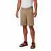 Columbia Sportswear - Tech Trail Shorts Tusk