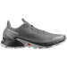 Salomon - Alphacross 5 Pewter/Black