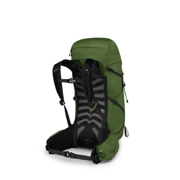 Osprey - Talon 33 Green Belt/Black