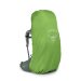 Osprey - Ariel 55 Koseret Green