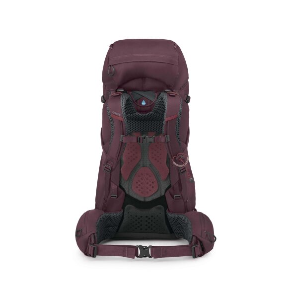 Osprey - Kyte 58 Elderberry Purple Rygsæk