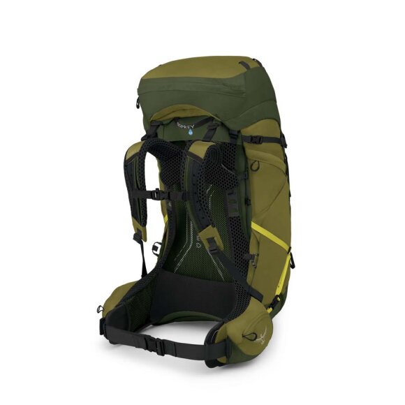  Osprey Atmos AG LT 65 Scenic Valley Rygsæk