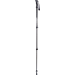 Carbon Pole Vandrestav