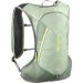 Salomon Cross 8 Green Milieu Løberygsæk