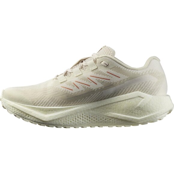 Salomon Aero Blaze 3 GRVL W Vanilla Sko
