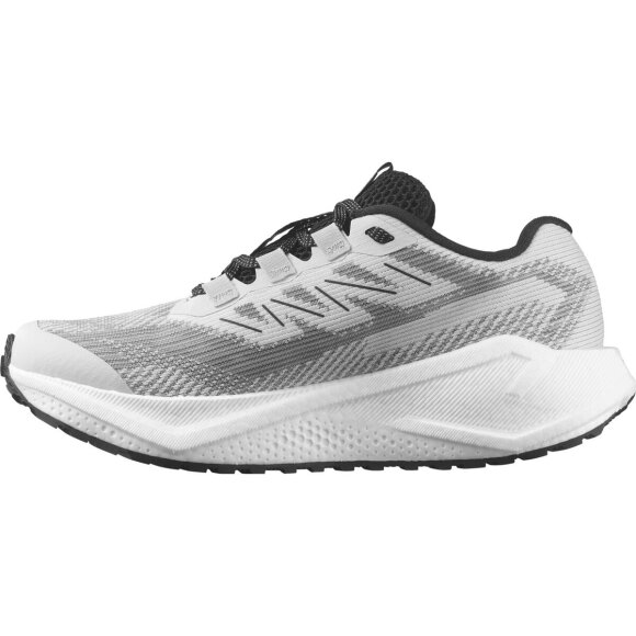 Salomon Aero Blaze 3 GRVL W Lunar/rock Løbesko