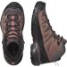 Salomon X Ultra 360 LTR Mid GTX W Vandresko