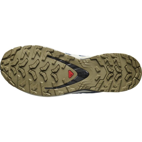 Salomon XA Pro 3D V9 GTX Dark Blue Sko