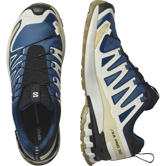 Salomon XA Pro 3D V9 GTX Dark Blue Sko