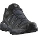 Salomon X Ultra 360 LTR GTX W Turbul/black