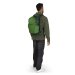 Osprey Daylite Plus Green Rygsæk