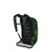 Osprey Daylite Plus Green Rygsæk