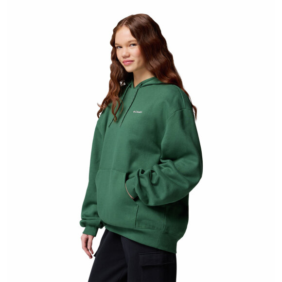 Aldermore Hoodie Rain Forest