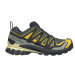 Salomon XA Pro 3D V9 GTX Urban Chic Sko