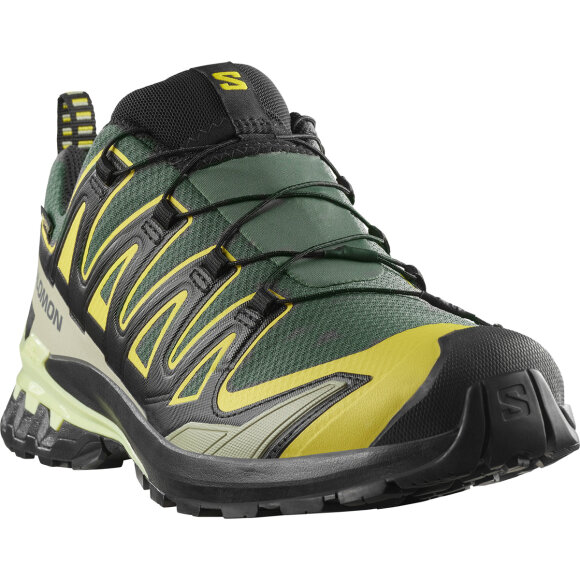 Salomon XA Pro 3D V9 GTX Urban Chic Sko