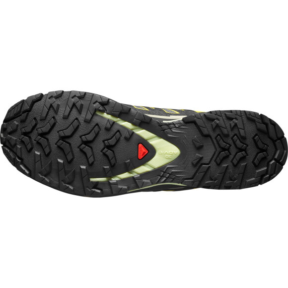 Salomon XA Pro 3D V9 GTX Urban Chic Sko