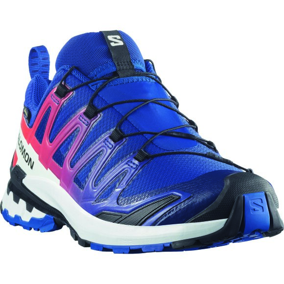 Salomon XA Pro 3D V9 GTX Equipe Surf Sko