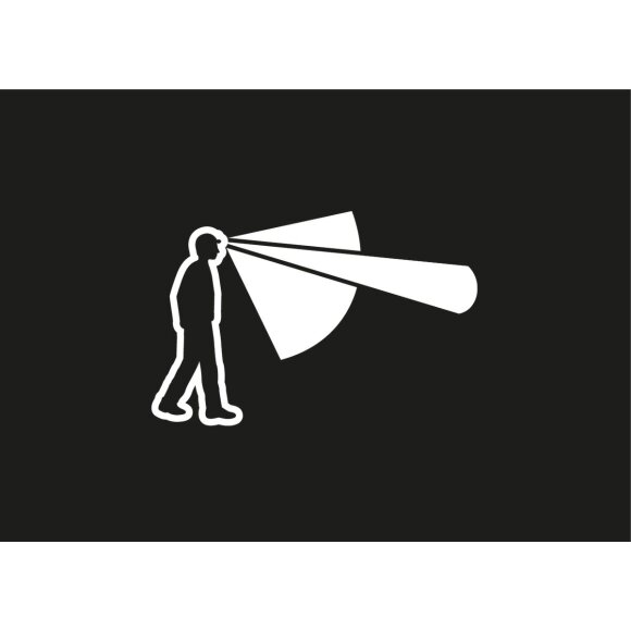 Petzl Actik Black Pandelampe