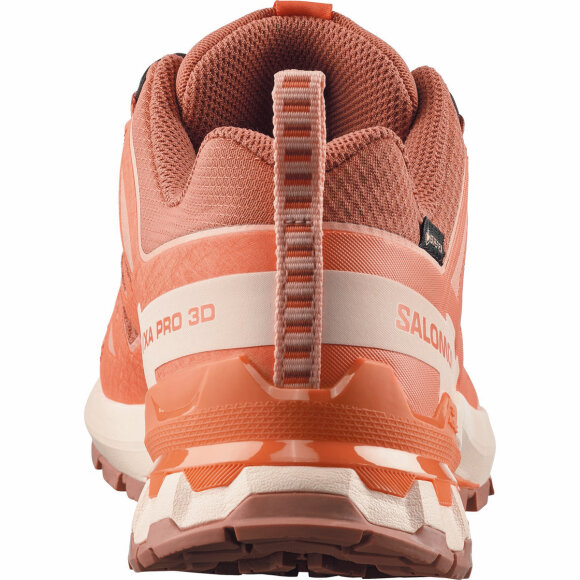 Salomon sko XA Pro 3D V9 GTX W