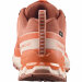 Salomon sko XA Pro 3D V9 GTX W