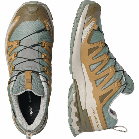 Salomon XA Pro 3D V9 GTX Sedsa Vandresko