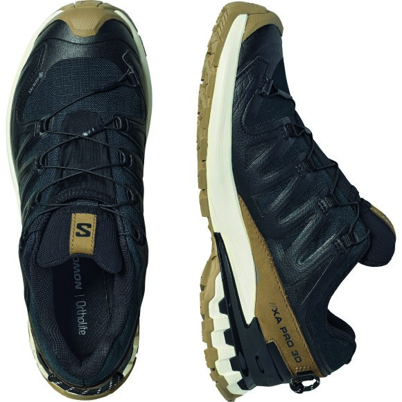 Salomon vandresko XA Pro 3D V9 GTX Lifelong W