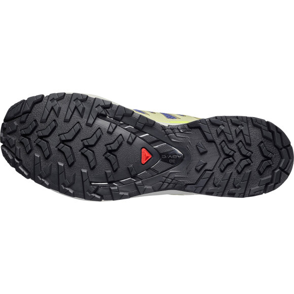 Salomon XA Pro 3D V9 Bluing/Bog Vandresko