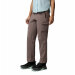 Columbia Silver Ridge Elite Pant Iron W Vandrebukser