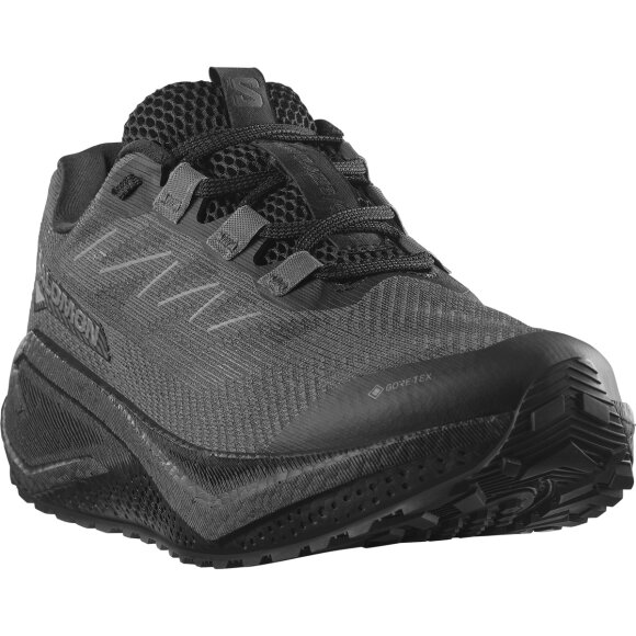 Salomon Aero Blaze GRVL GTX Black