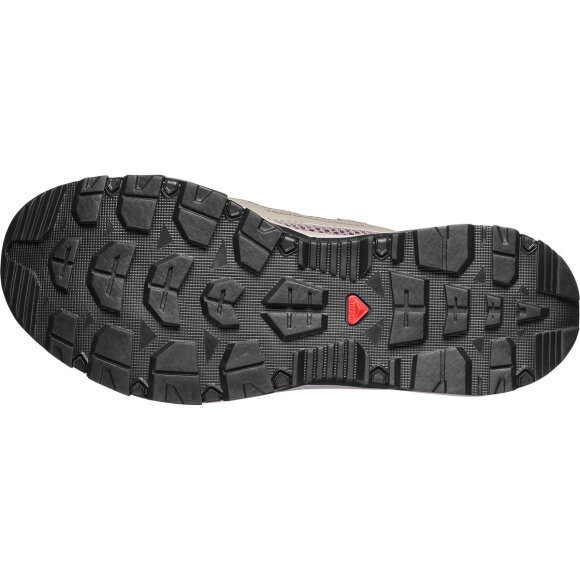 Salomon Techamphibian 5 W Silves/Iron