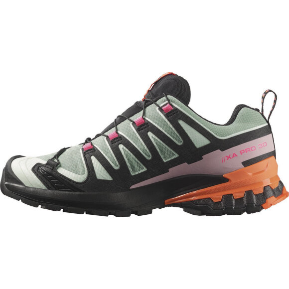 Salomon XA Pro 3D V9 GTX Icon W